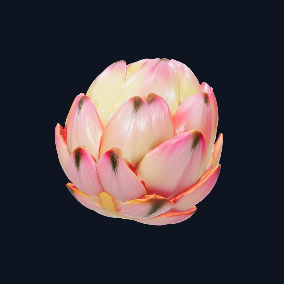 Artichoke Protea Flower Realistic Sculpture model pack